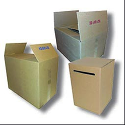 Urnas de carton
